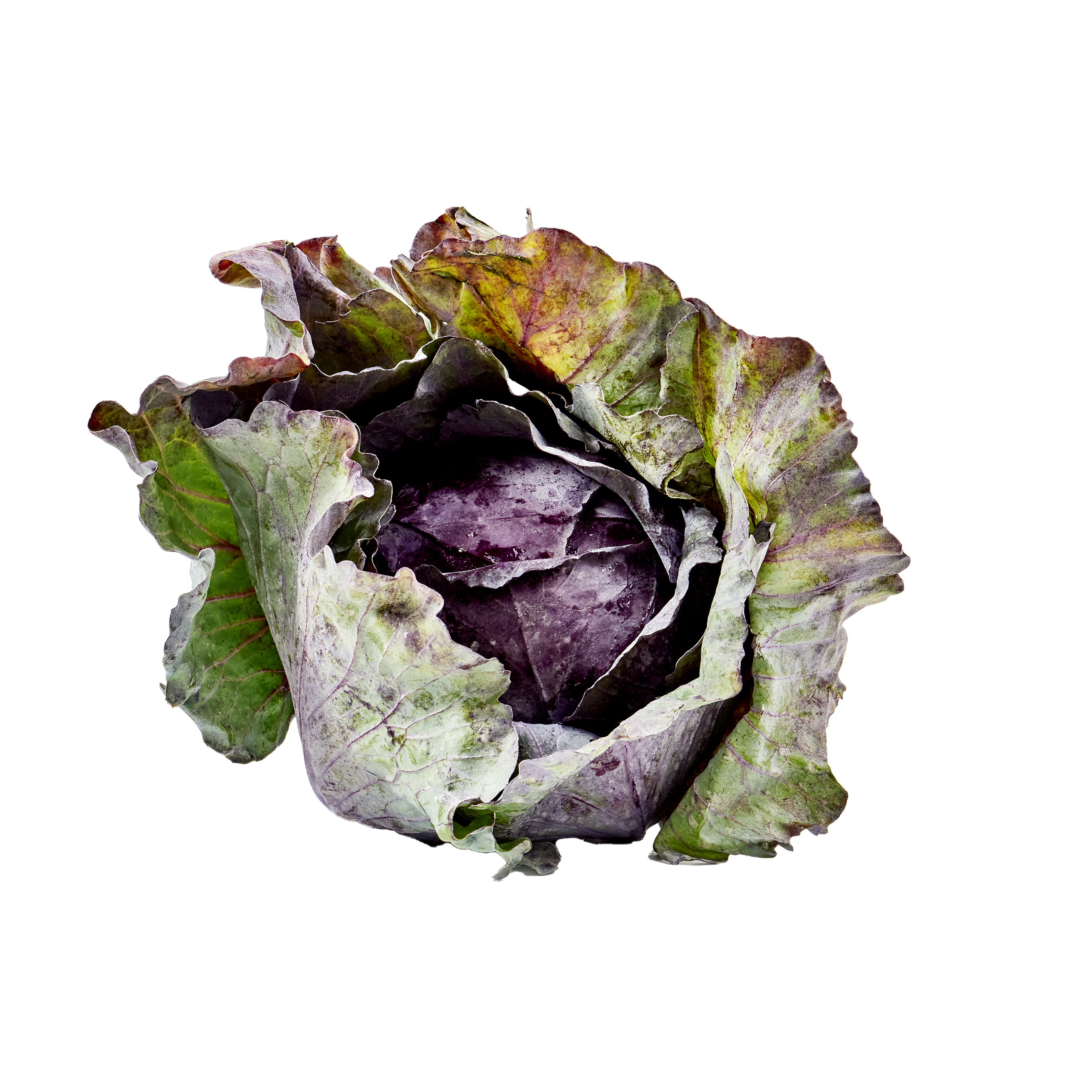 Nu Foods